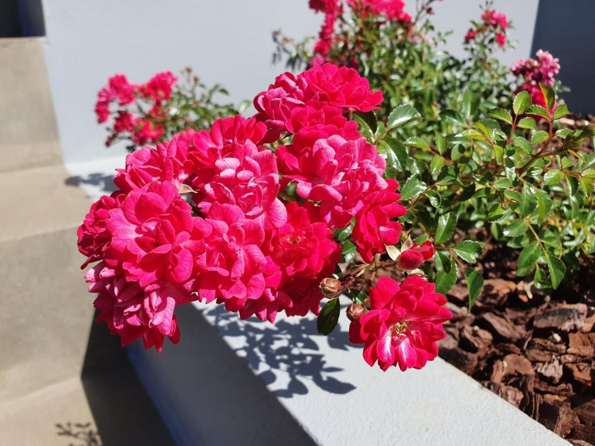 Casa Atlantico Dachterrassengeschoss Apartment Ribeira Brava Luaran gambar